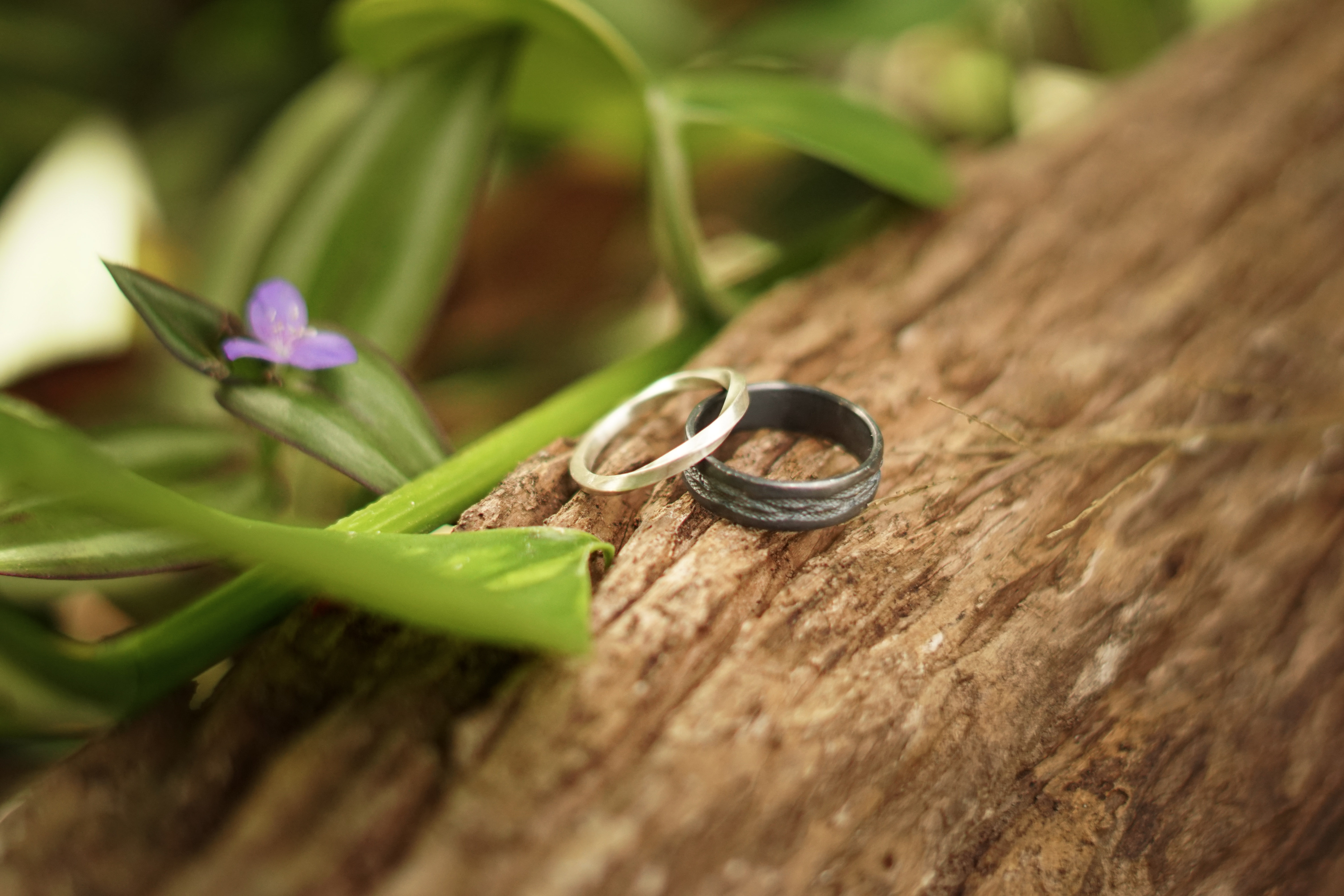 Wedding rings resting on jungle leaves at Casa Arkaana