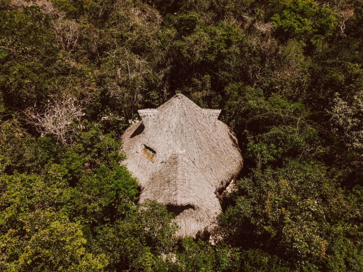 Aerial view of the star-shaped thatched roof of the ceremonial temple at Casa Arkaana